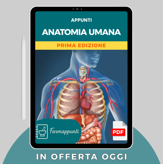 Anatomia Umana
