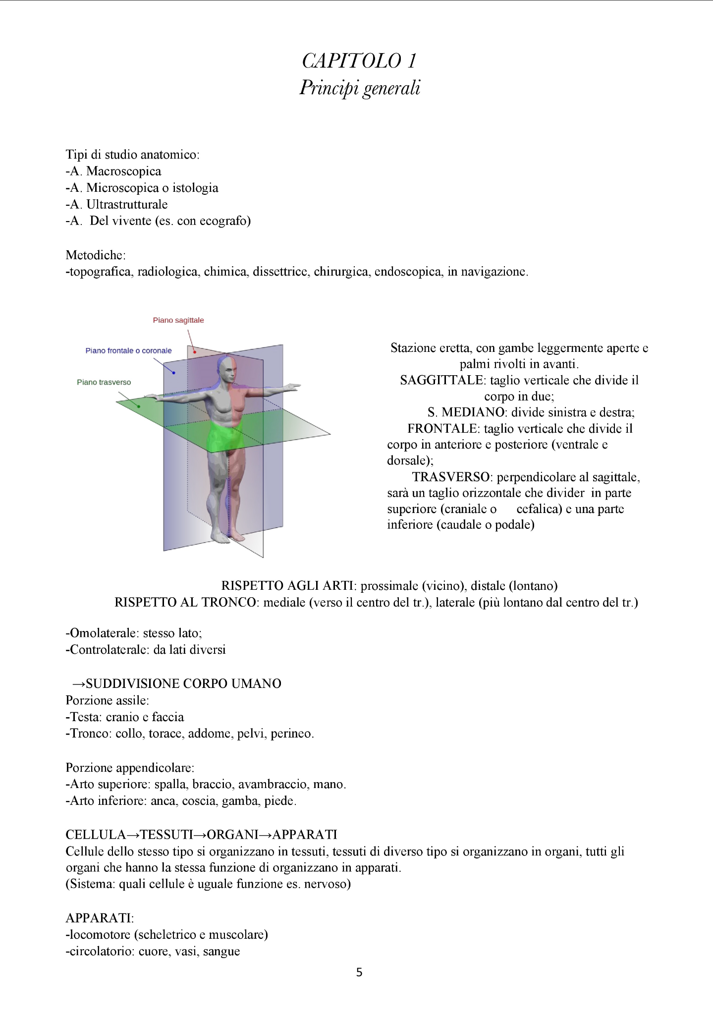 Anatomia Umana