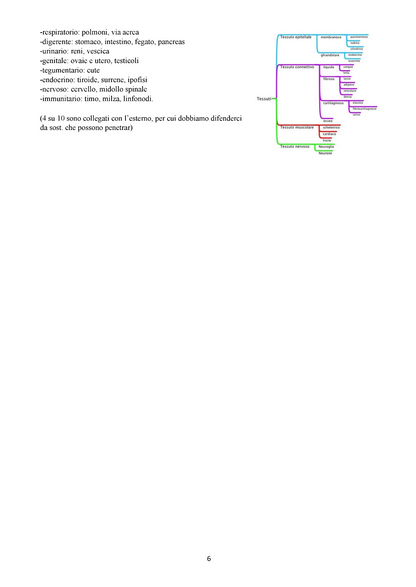 Anatomia Umana
