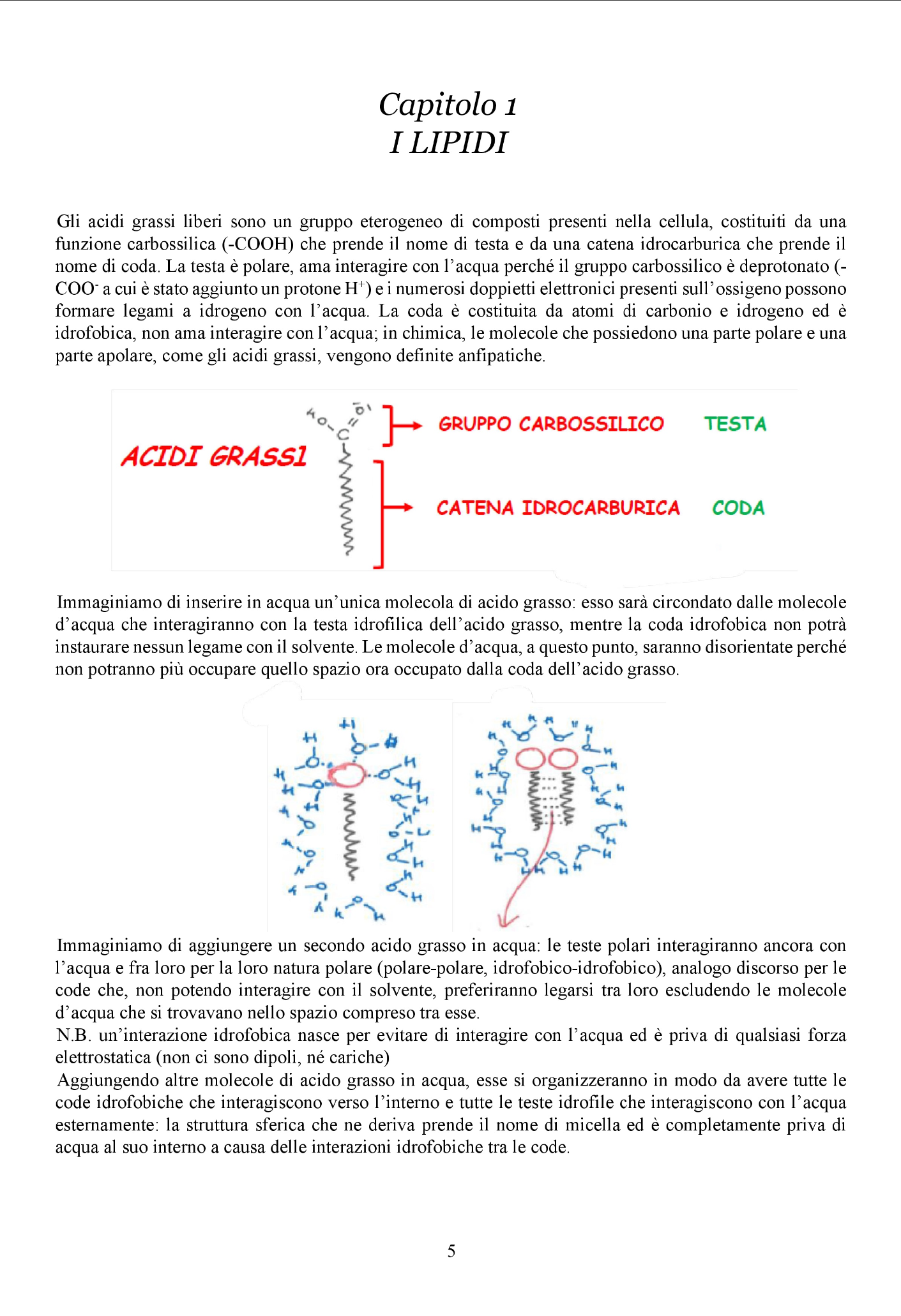 Biologia Animale