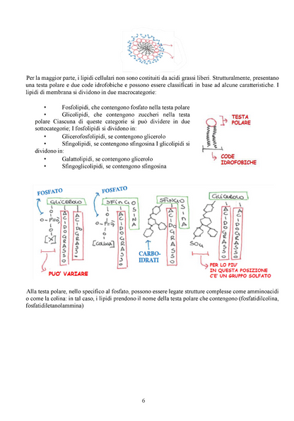 Biologia Animale
