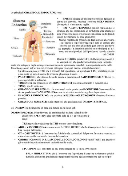 Endocrinologia e Malattie Dismetaboliche